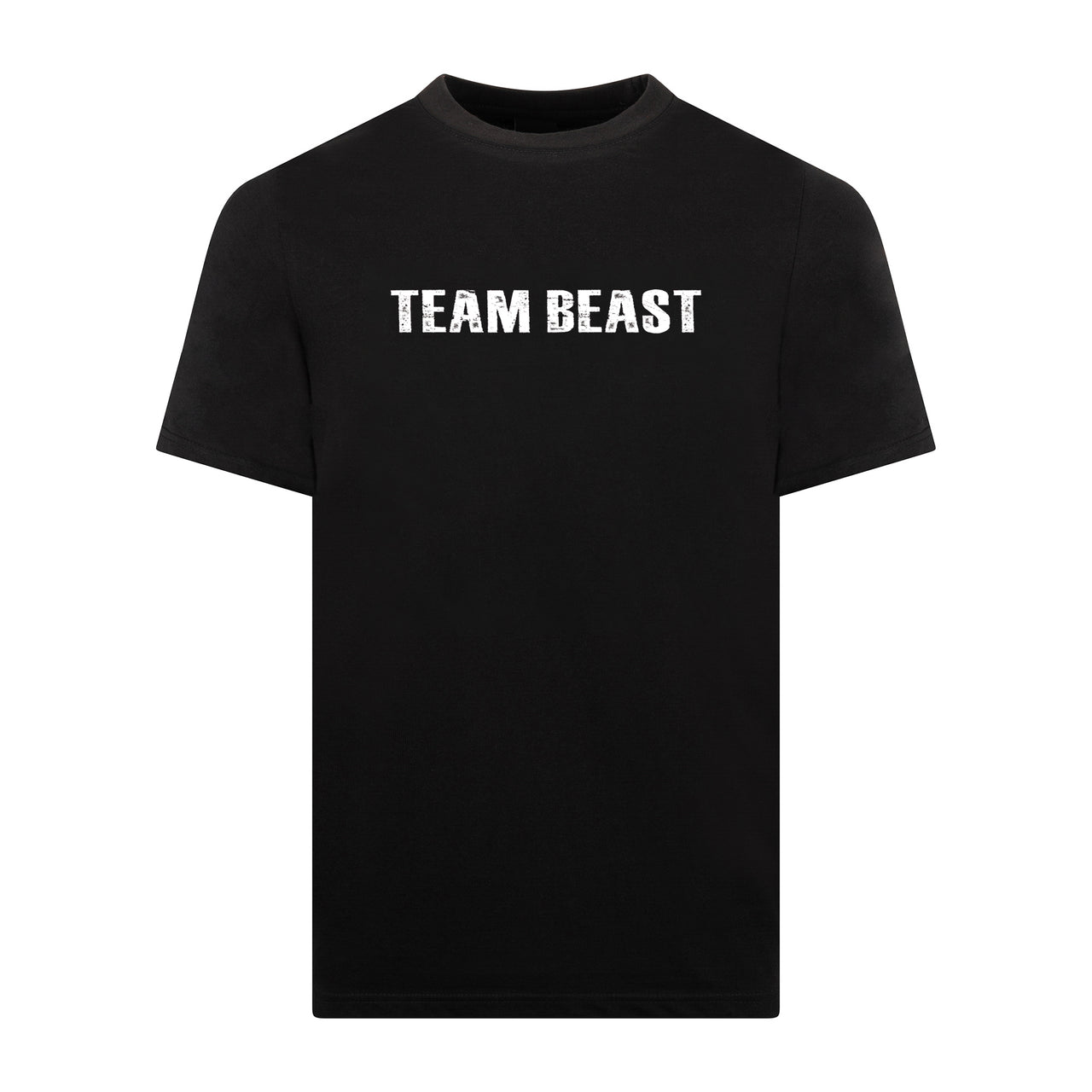 Beast Hall vs Fury T-Shirt