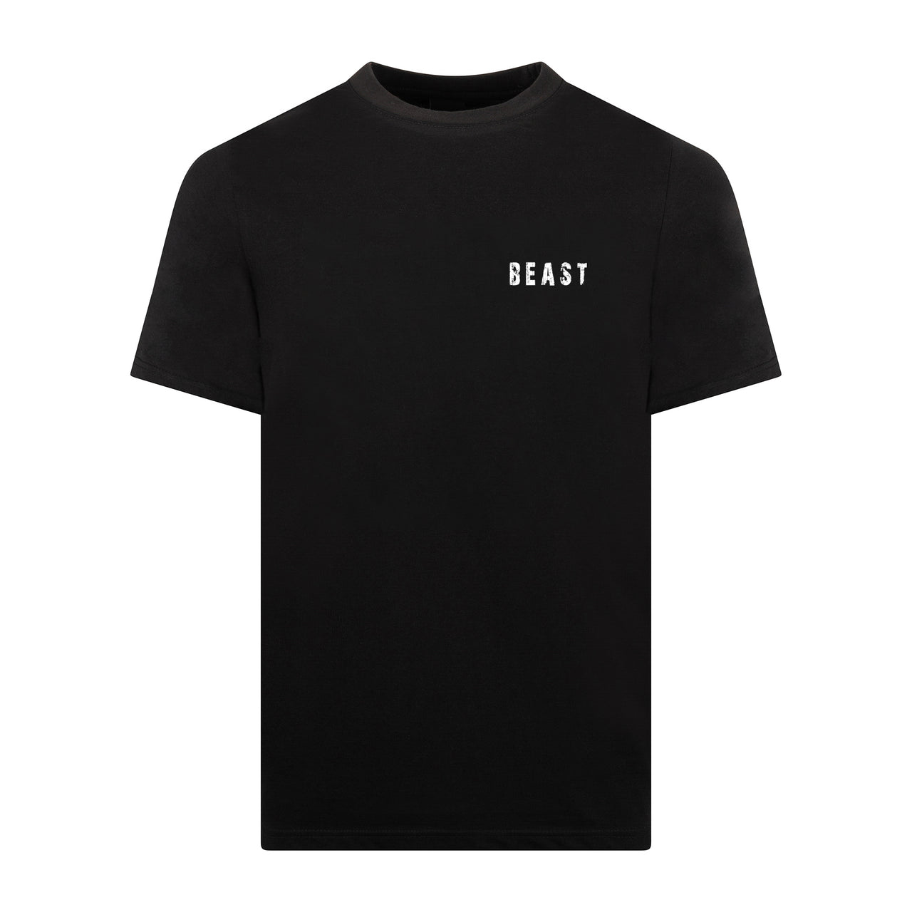 Beast Iron Tour T-Shirt