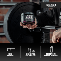 Thumbnail for BIG Z Powder Advanced Nighttime Formula