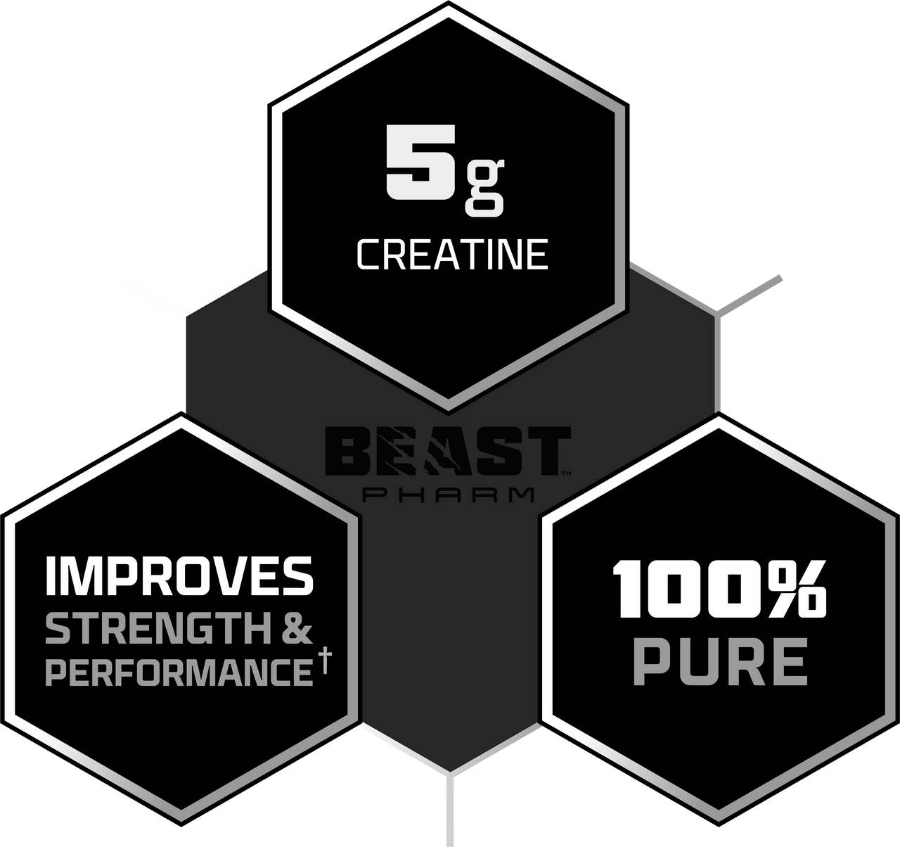 100% Pure Micronised Creatine Monohydrate