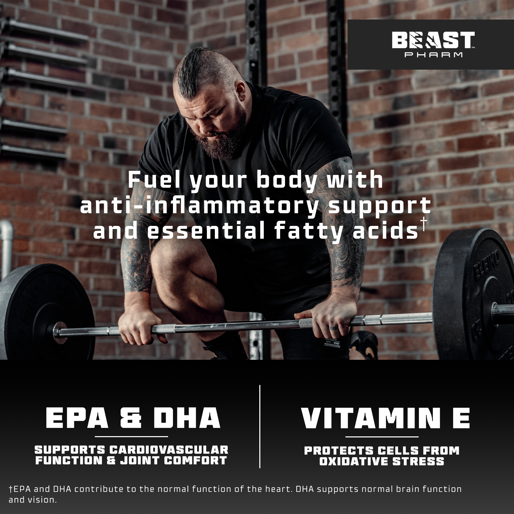 Omega 3 Pro - Hyper Pure Fish Oil with 600mg EPA & 300mg DHA – BEAST™ Pharm